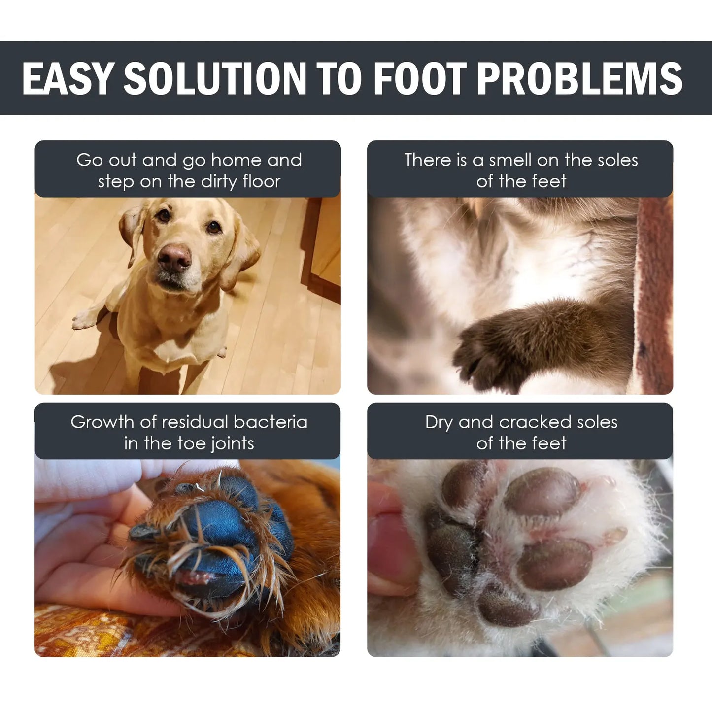 Pet Paw Foam Cleaner No-Rinse Dry Shampoo Foam with Brush